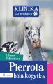Pierrota bola kopytka
