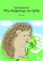 Why Hedgehogs Are Spiky. Afairytale