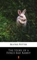 The Story of a Fierce Bad Rabbit