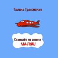 Самолёт по имени Малыш