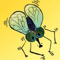 Шумные истории. Рассказы маленького мальчика. Аудиоспектакль
