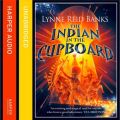 Indian In The Cupboard