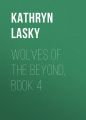 Wolves of the Beyond, Book 4