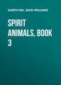 Spirit Animals, Book 3