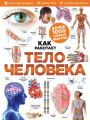 Тело человека Тело человека