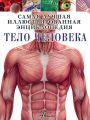 Тело человека