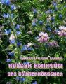 Koszyk kwiatow - Das Blumenkorbchen