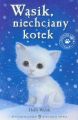 Wasik niechciany kotek