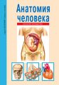 Анатомия человека