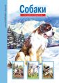 Собаки