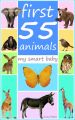 First 55 animals - my smart baby