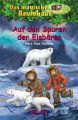 Das magische Baumhaus 12  Auf den Spuren der Eisbaren