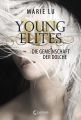 Young Elites 1 - Die Gemeinschaft der Dolche
