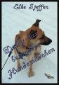 Daisy das besondere Hundemadchen