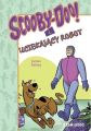 Scooby-Doo! i uciekajacy robot