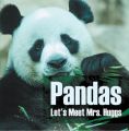 Pandas - Let's Meet Mrs. Huggs