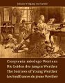 Cierpienia mlodego Wertera