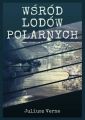 Wsrod lodow polarnych
