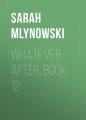 Whatever After, Book 12