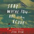 Stay Where You Are And Then Leave