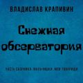 Снежная обсерватория