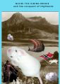 Bleiki The Viking Mouse And The Conquest Of Highlands