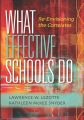 What Effective Schools Do