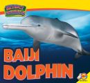 Baiji Dolphin