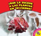 ?Que le sucede a las plantas en invierno?
