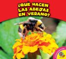 ?Que hacen las abejas en verano?