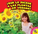 ?Que le sucede a las plantas en verano?