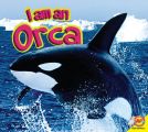 Orca