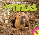 Las tuzas