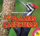 Los pajaros carpinteros