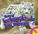 El leopardo de las nieves