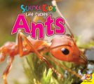 Ants
