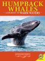 Humpback Whales: A Journey to Warm Waters