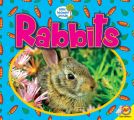Rabbits 