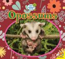 Opossums