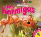 Las hormigas