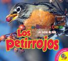 Los petirrojos