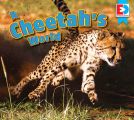 A Cheetah's World
