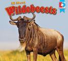 All About Wildebeests