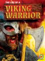 The Life of a Viking Warrior