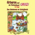 Arborex und der Geheimbund KIM, Folge 13: Das Geheimnis im Schlo?teich