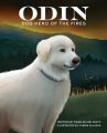 Odin, Dog Hero of the Fires