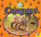 Cougars