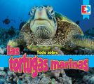 Todo sobre las tortugas marinas