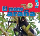 Animales de la Selva Amazonica — El mono arana