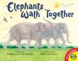 Elephants Walk Together